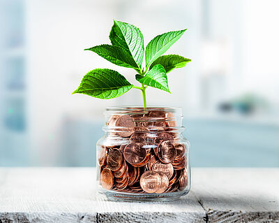 The photo shows a jar filled with coins, from which a plant is growing.