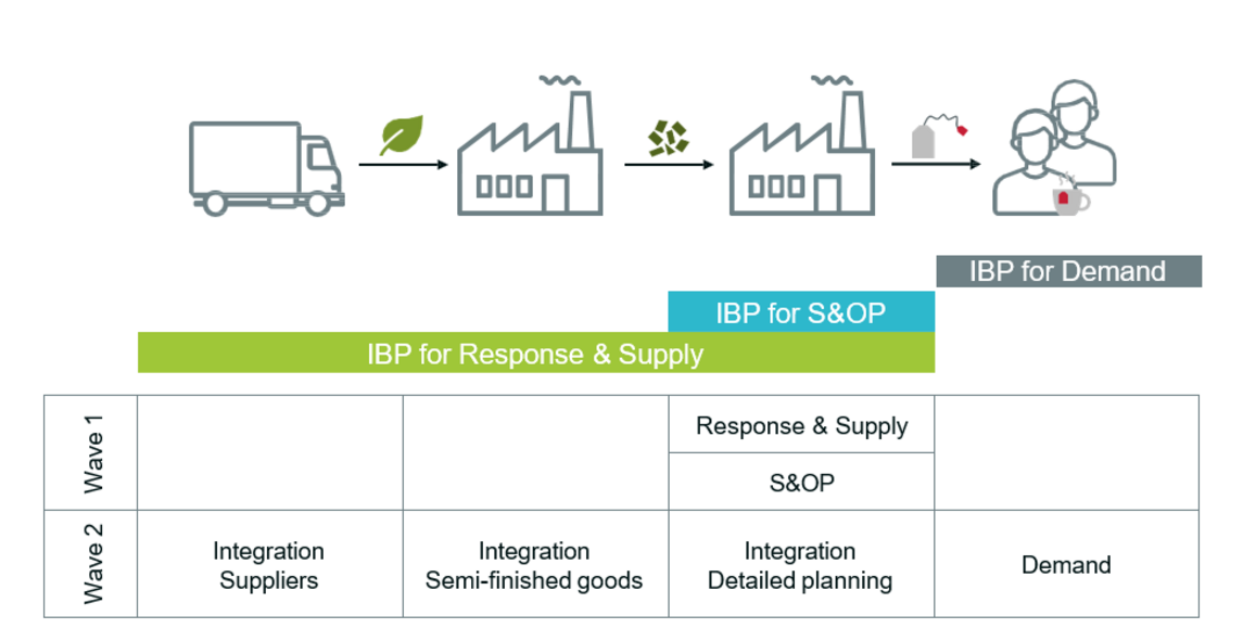 Overview of the IBP Implementation Process at TEEKANNE