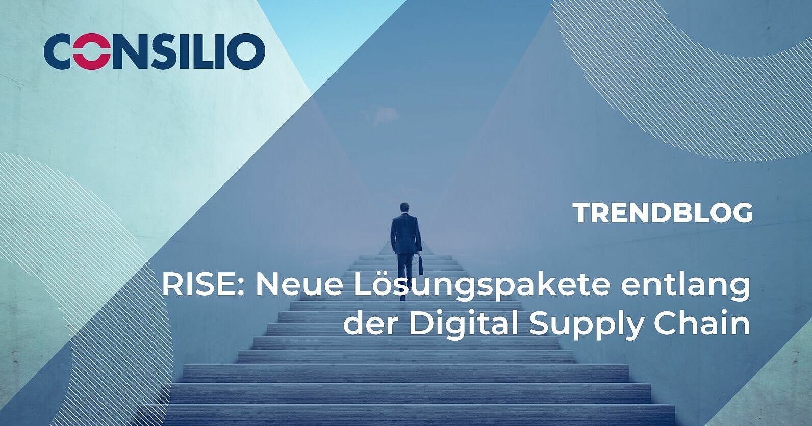 RISE: neue Lösungspakete entlang der Digital Supply Chain
