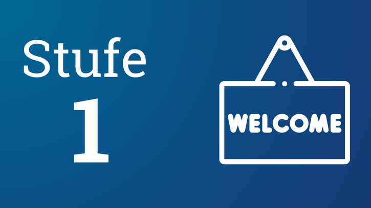 Consulting Academy Level 1