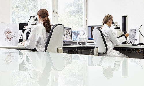 Bild von zwei Labormitarbeiterinnen bei der Arbeit
